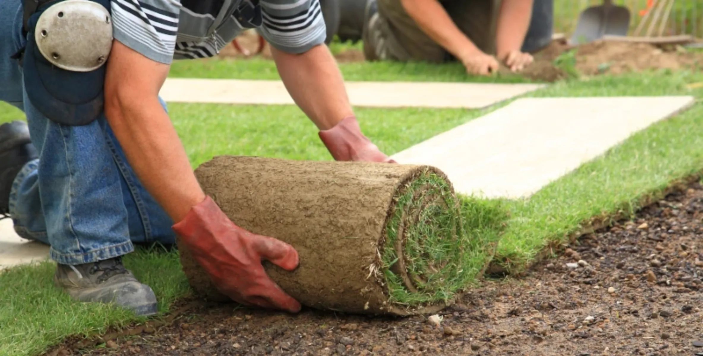 Landscaping & Outdoor Construction